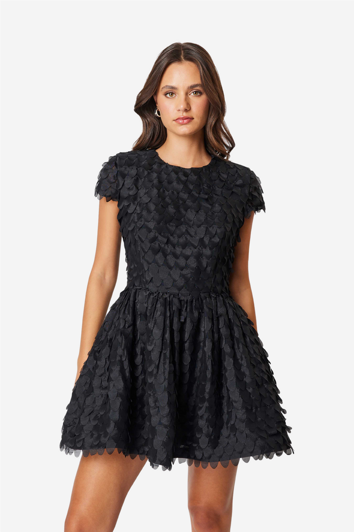 Amberwing Dress Black