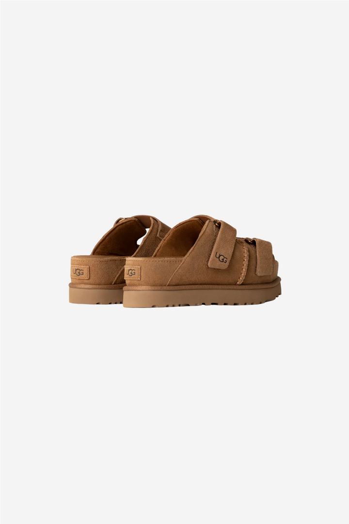 W Goldenstar Hi Slid Chestnut