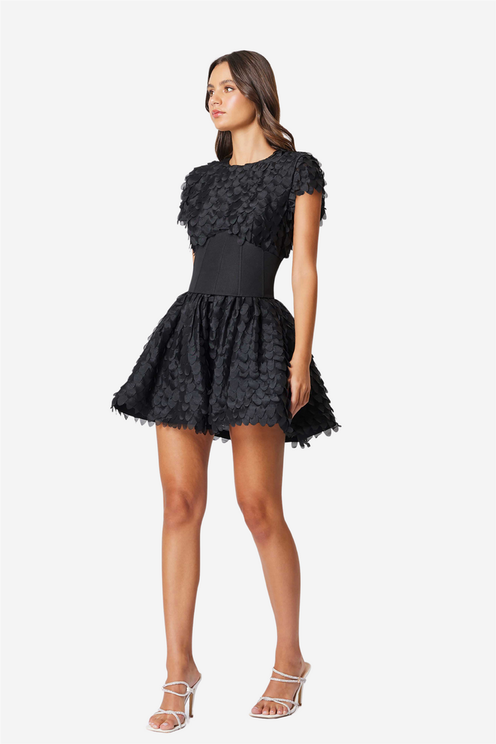 Amberwing Dress Black