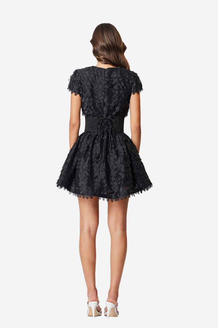 Amberwing Dress Black