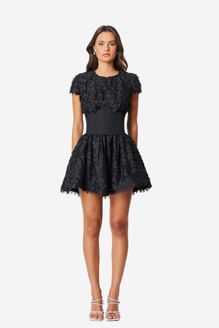 Amberwing Dress Black