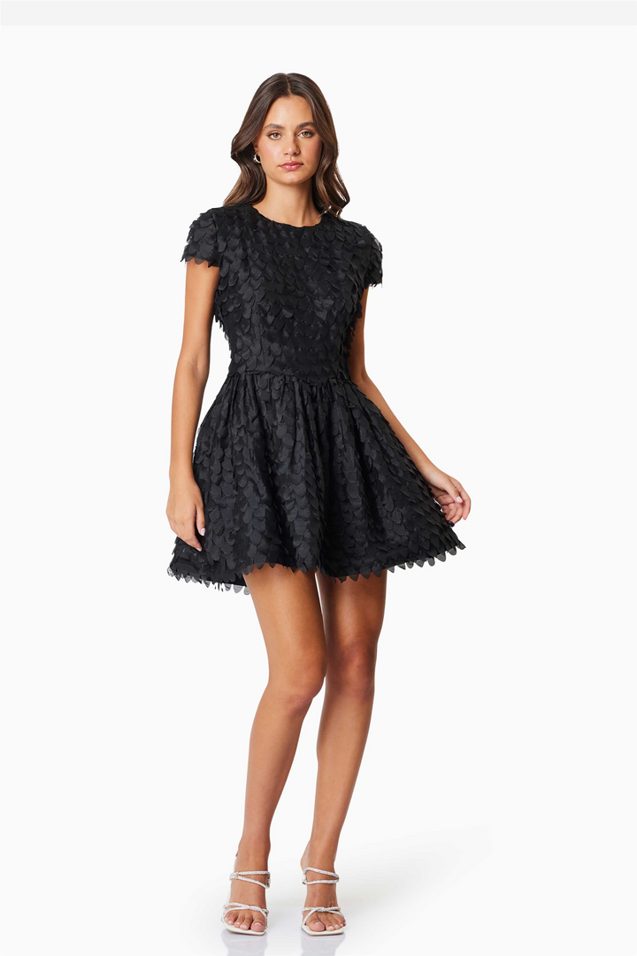 Amberwing Dress Black