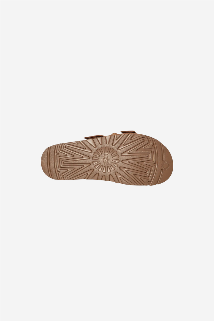 W Goldenstar Hi Slid Chestnut