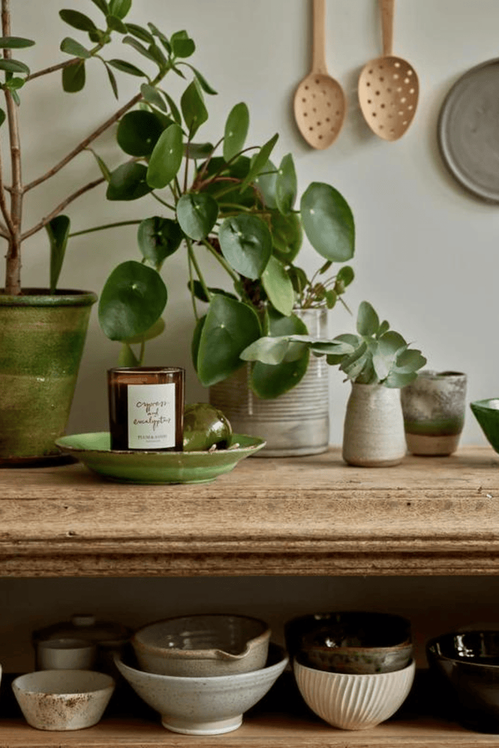 Plum & Ashby Interiør & kosmetikk Cypress & Eucalyptus Candle