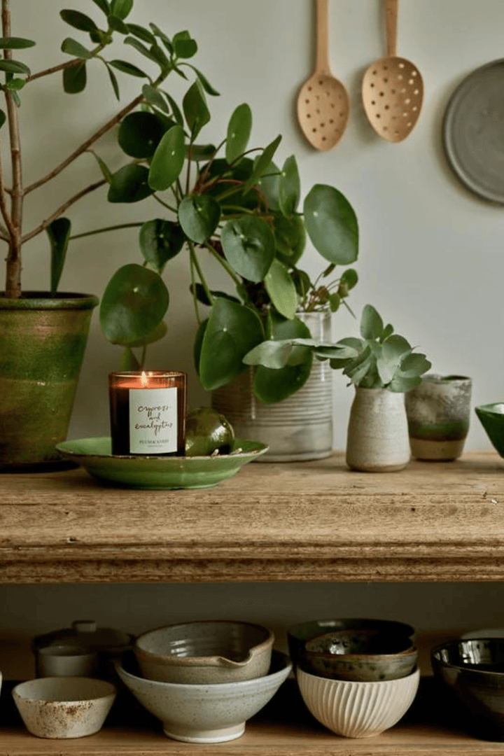 Plum & Ashby Interiør & kosmetikk Cypress & Eucalyptus Candle