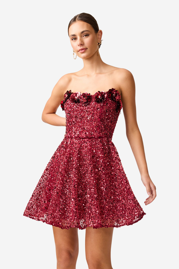 Carmen A Line Mini Dress Berry