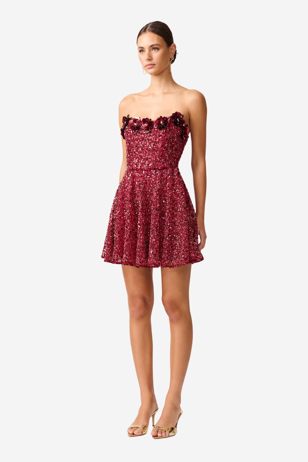 Carmen A Line Mini Dress Berry