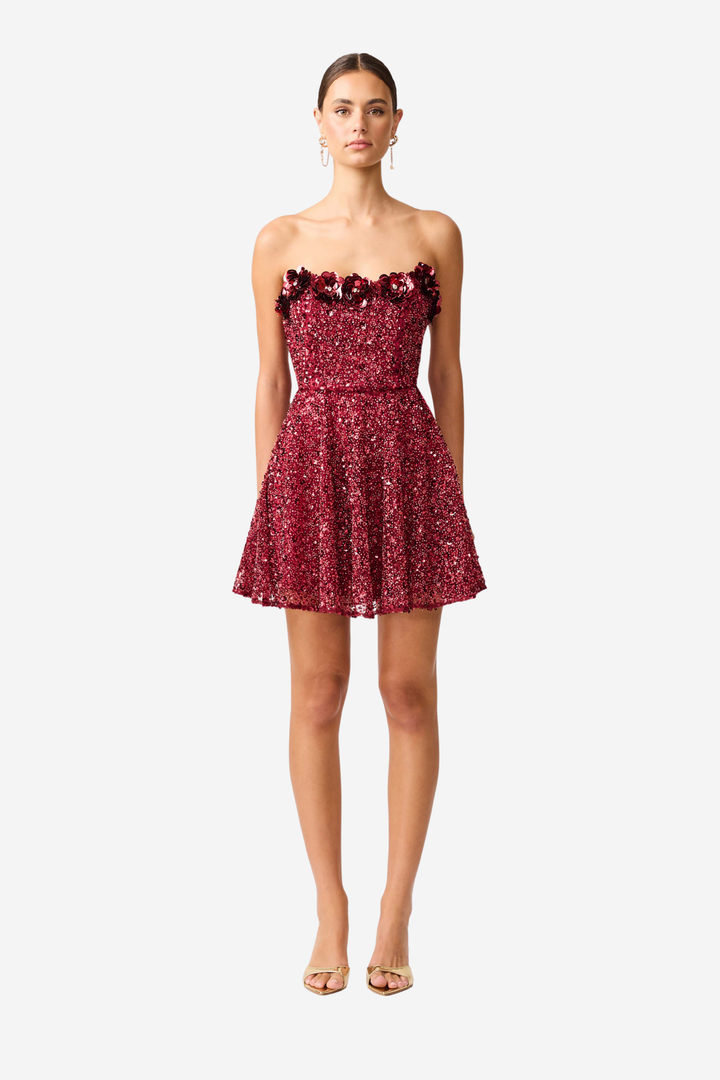 Carmen A Line Mini Dress Berry