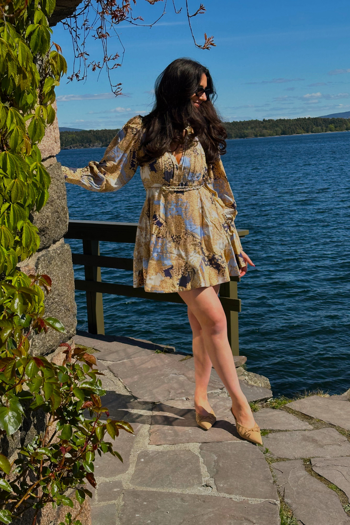 Striped Belt Dress Blue Field