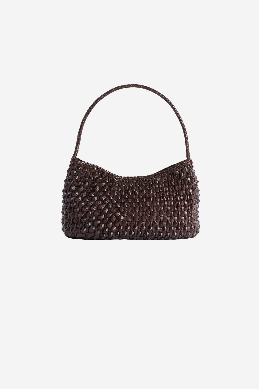 Basil Cactus Dark Brown