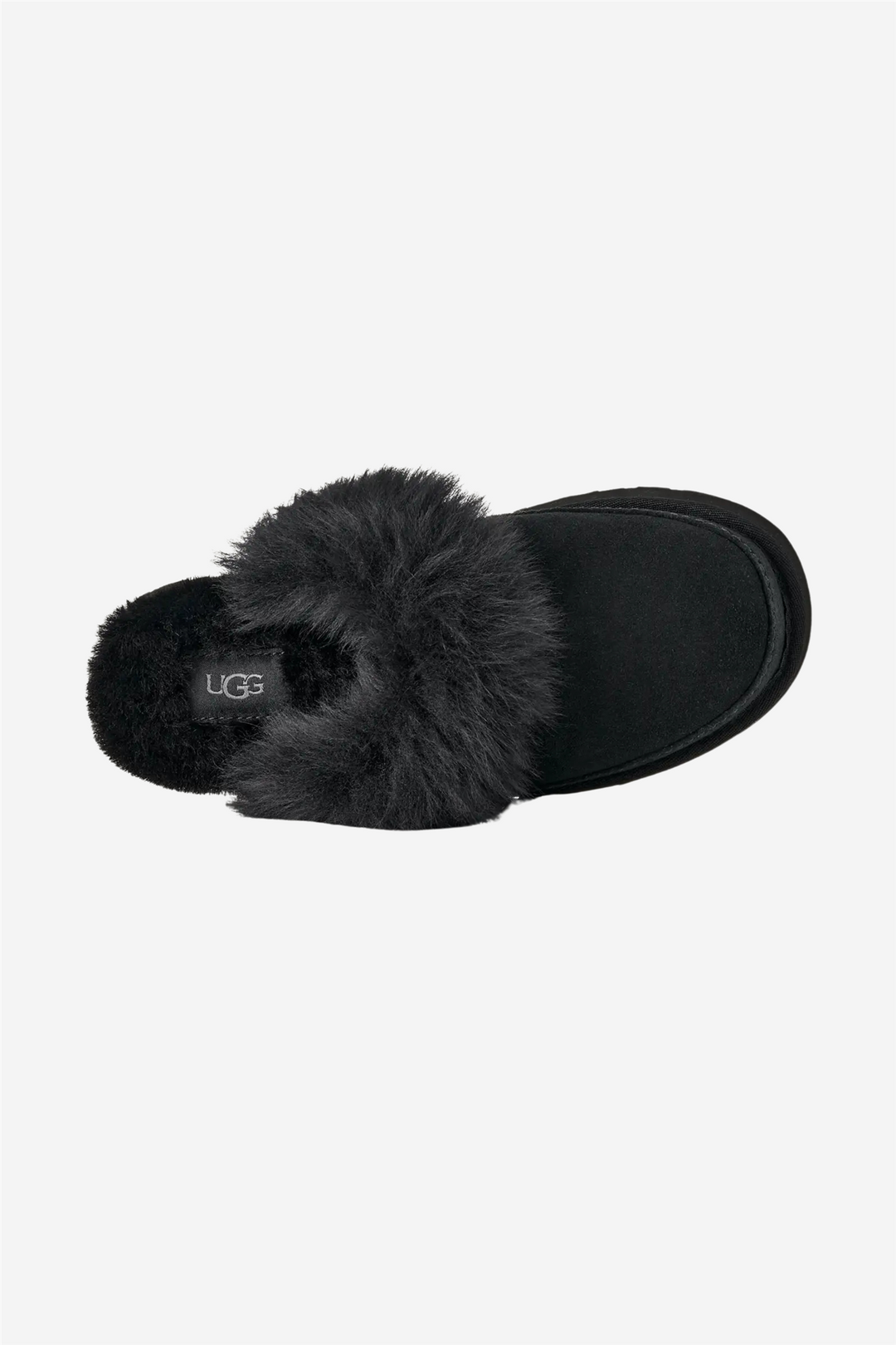 W Disquette Chalet Black