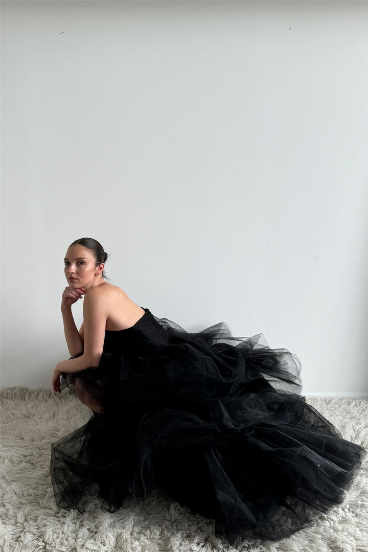 Swan Dress Black
