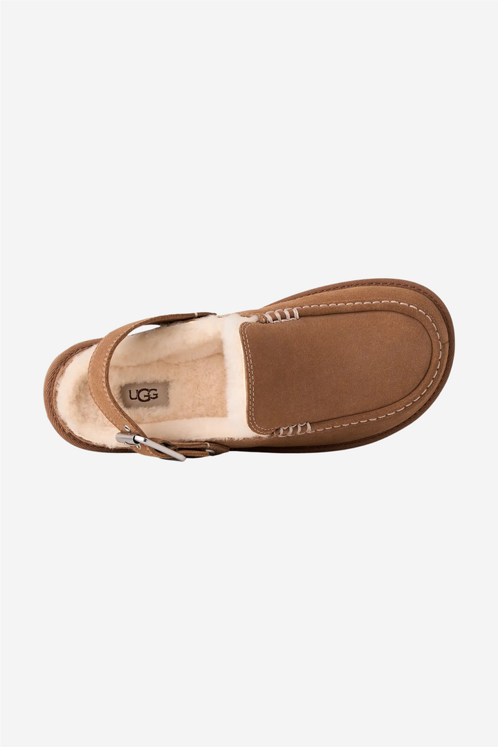 W Goldenstar Evelina Clog Chestnut