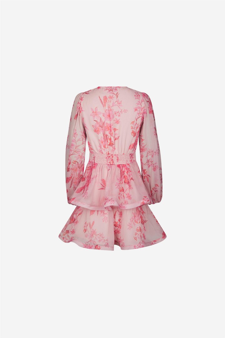 Rivana Print Chiffon Dress Pink