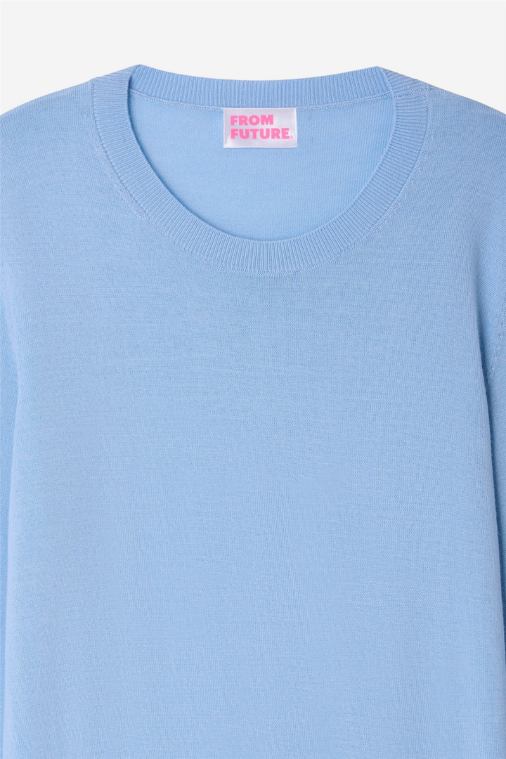 From Future Genser & Cardigan Crewneck Sweater Baby Blue