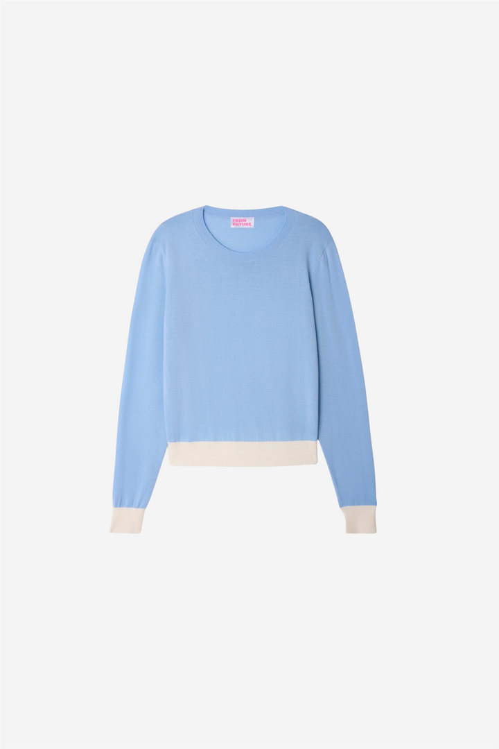From Future Genser & Cardigan Crewneck Sweater Baby Blue