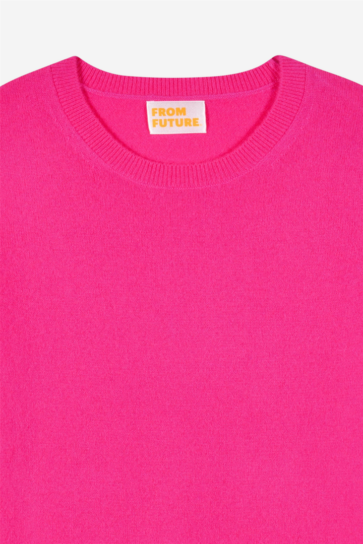 From Future Genser & Cardigan Crewneck Sweaters Solar Pink