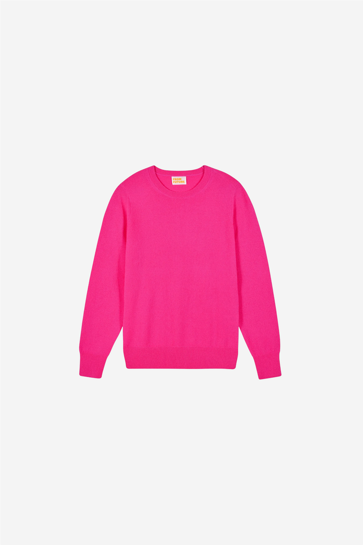 From Future Genser & Cardigan Crewneck Sweaters Solar Pink