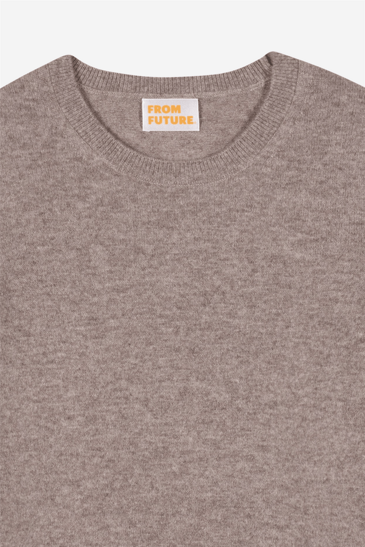 From Future Genser & Cardigan Crewneck Sweaters Taupe