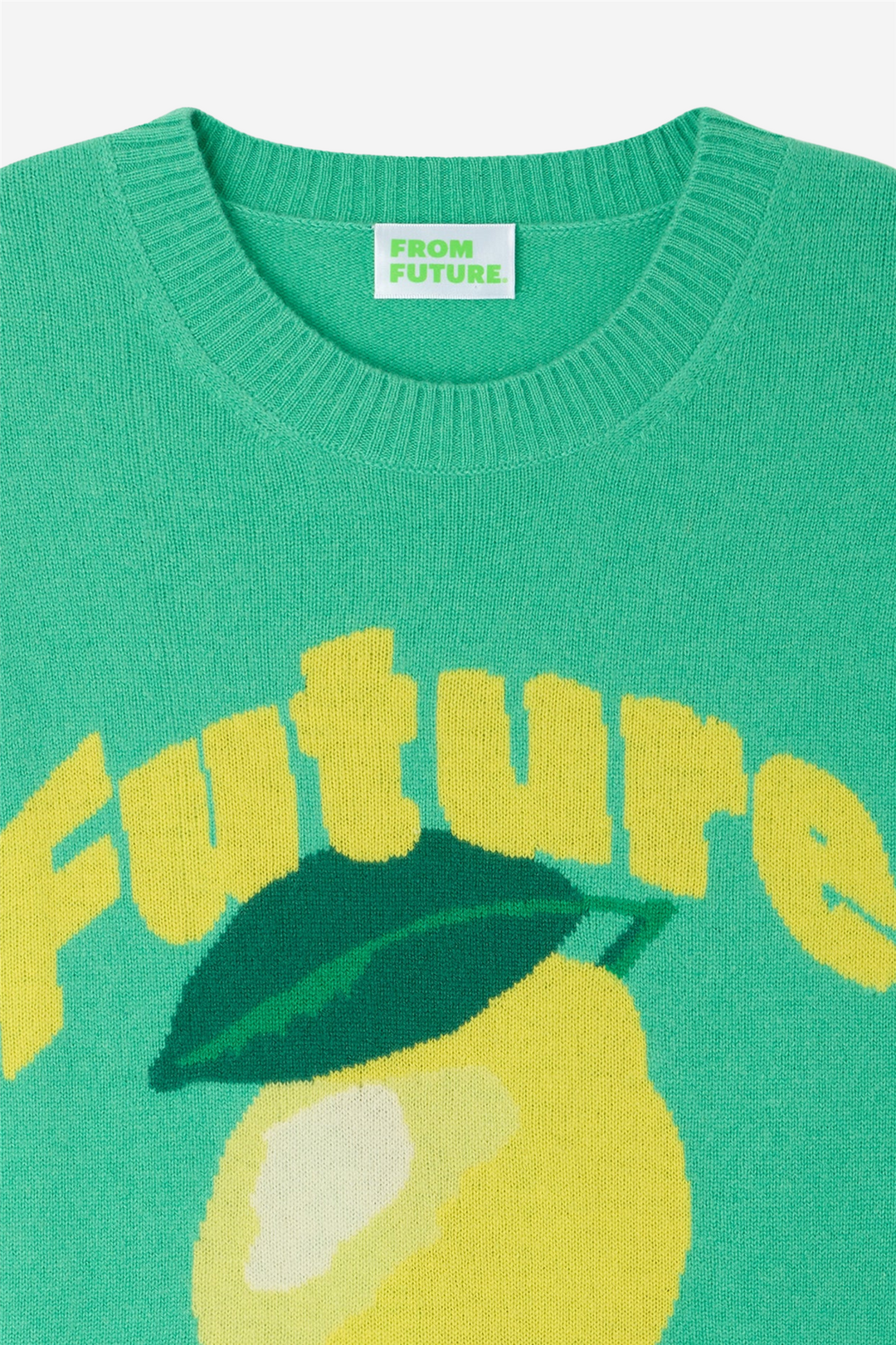 From Future Genser & Cardigan Future Intarsia Crewneck Garden Party Green