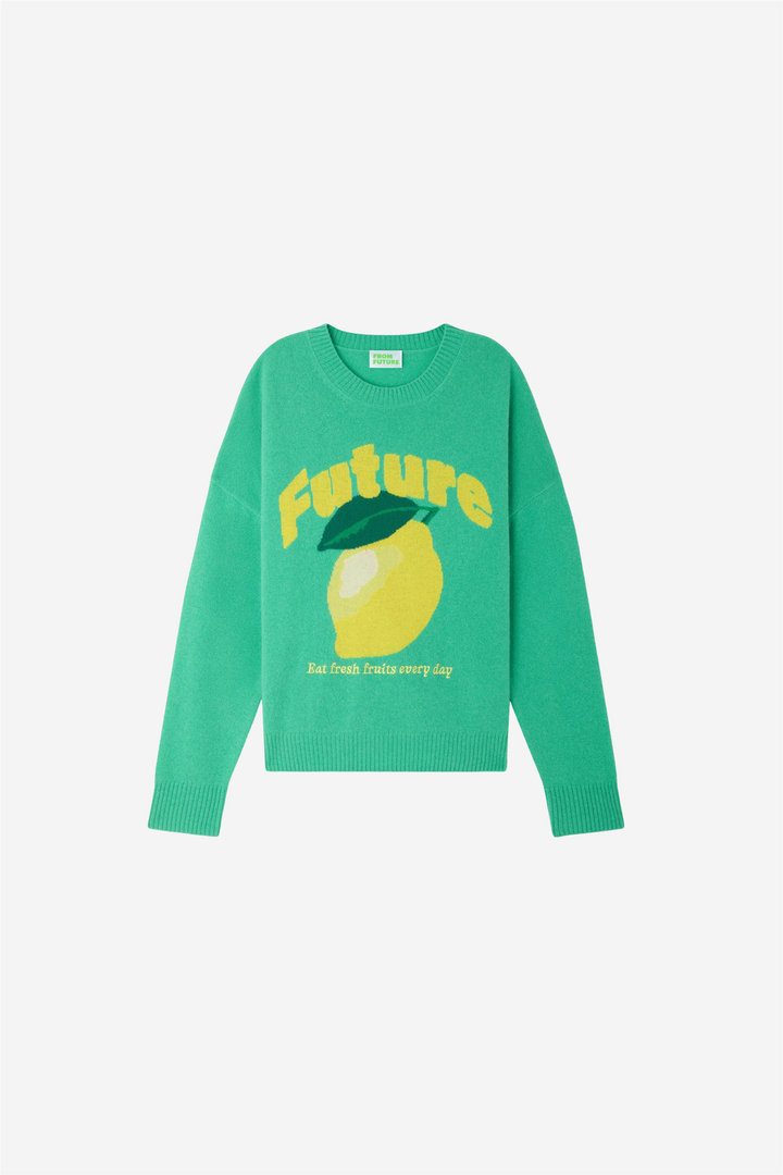 From Future Genser & Cardigan Future Intarsia Crewneck Garden Party Green