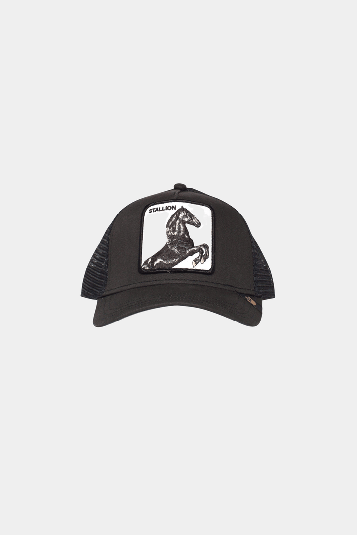 Goorin Bros Tilbehør The Stallion Black