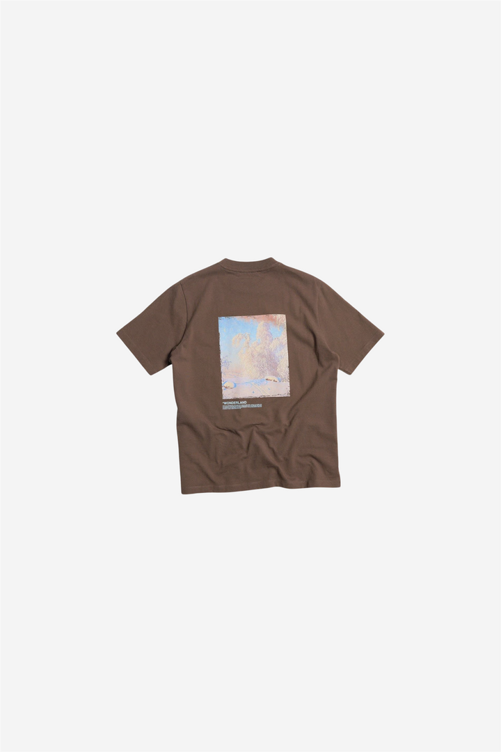 Holzweiler Topper & t-skjorter Kjerag National Tee Brown