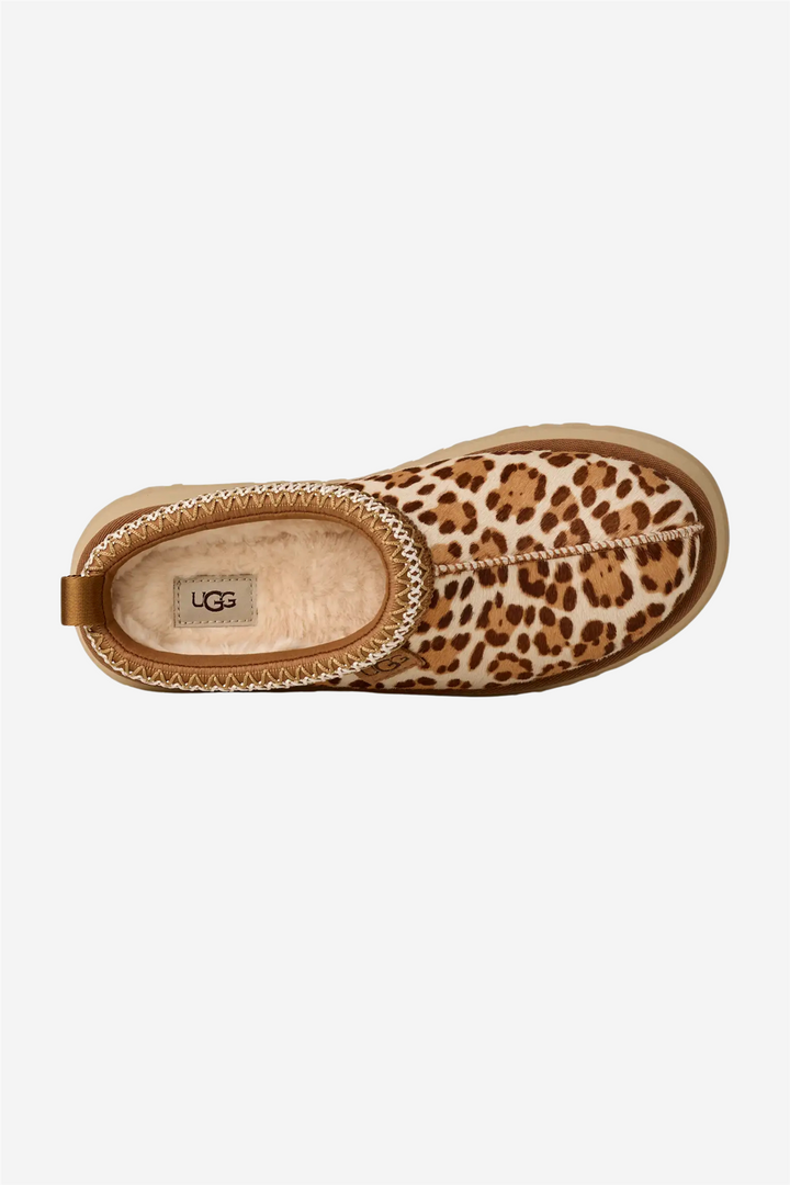 UGG Sko W Tazz Plains Felicity Leopard JSM