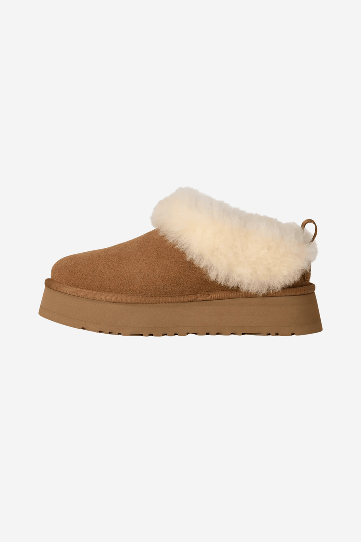 UGG Sko W Tazzelle Chestnut