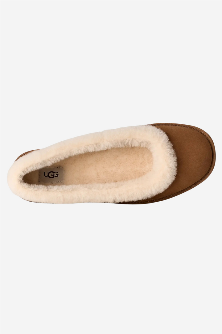 UGG Sko W Zora Ballet Flat Chestnut