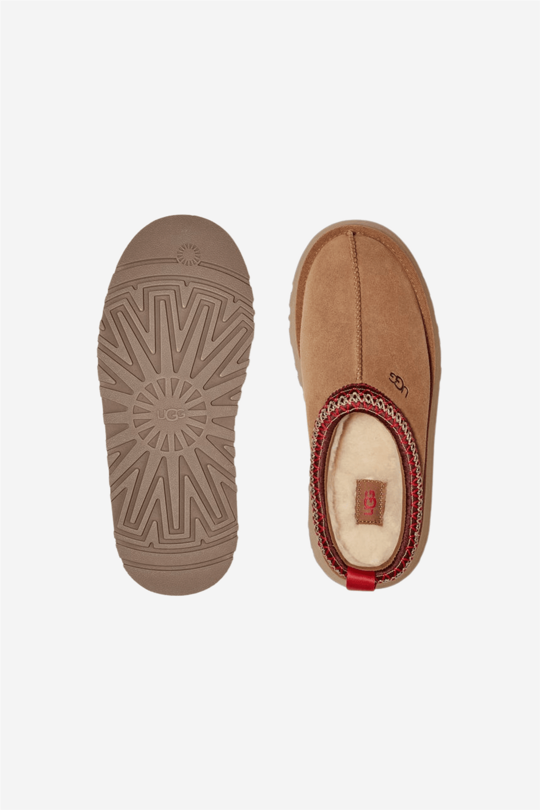UGG Sko W Tazz